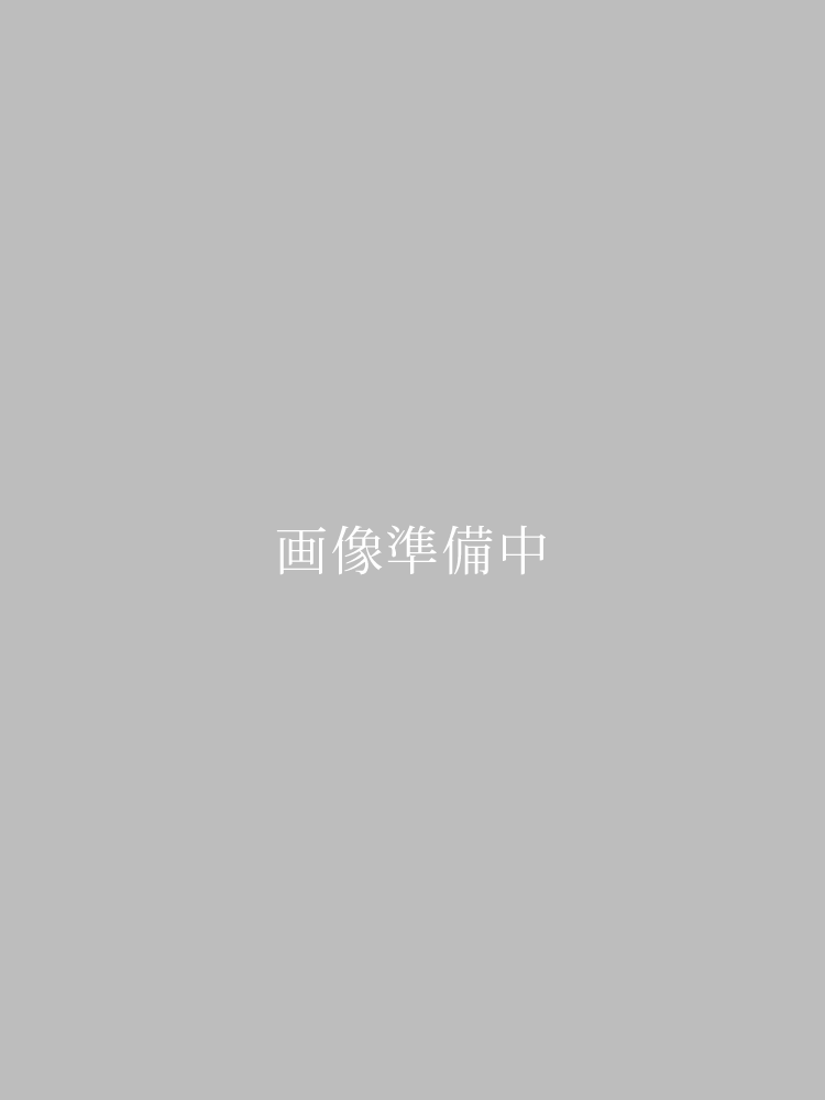 【高級帯レンタル】obi-23-251 厳選逸品　オーロラ箔　金 サイズ 七宝